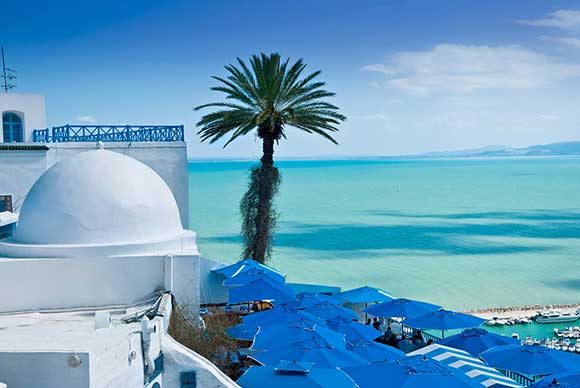 TUNISIE-PAYS-DU-JASMIN