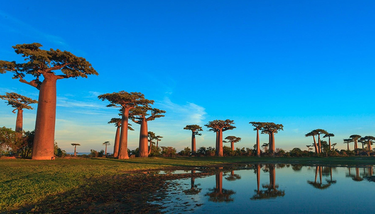 voyage à Madagascar