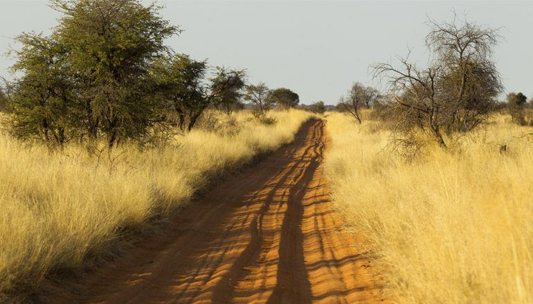 L'Afrique voyage au soleil