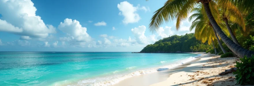 les-avis-sur-samana-en-republique-dominicaine-vantent-une-nature-preservee