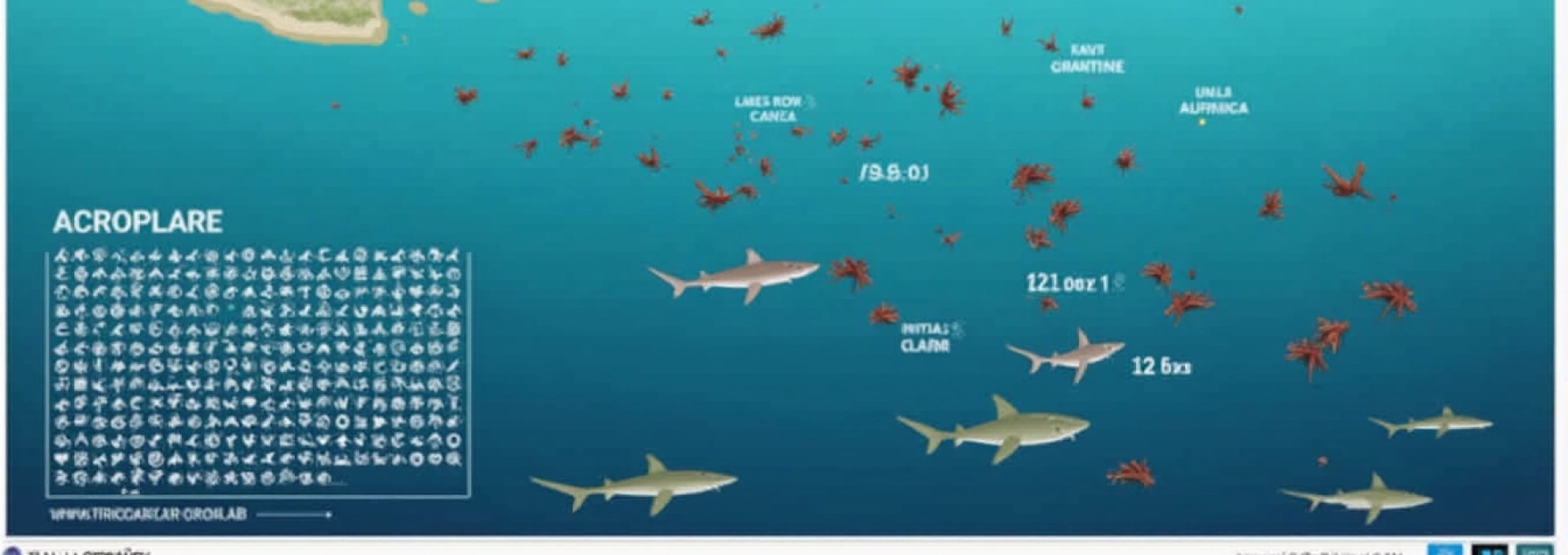 a-madagascar-chaque-attaque-de-requin-rappelle-la-necessite-de-mieux-connaitre-les-zones-a-risque