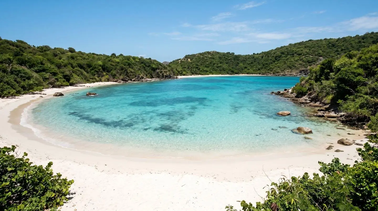 Plage Gouverneur à Saint-Barthélémy, déserte avec sable blanc immaculé, eaux turquoise transparentes et végétation sauvage encadrant la baie